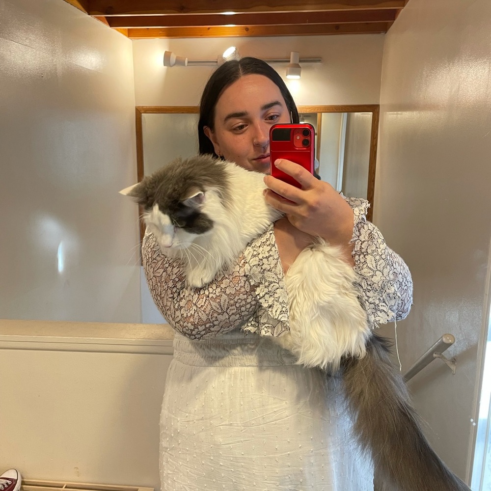 Meet your Posher, Alishaunia